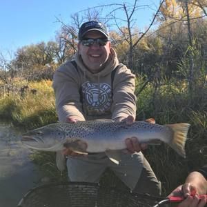 Meet your Posher, Matt